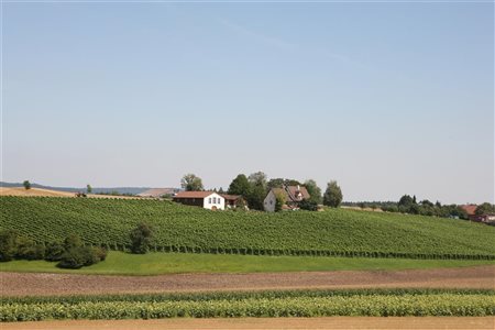 Weingut Zahner, Truttikon